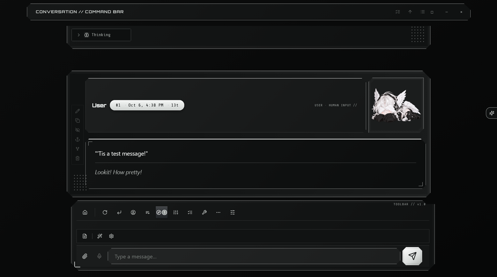 User message
